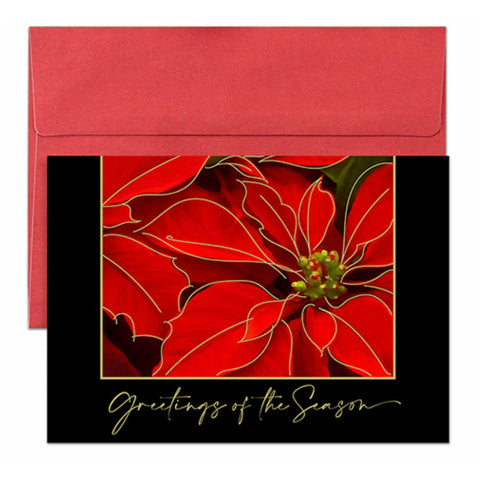 Poinsettia Promise Boxed Christmas Cards 1003400