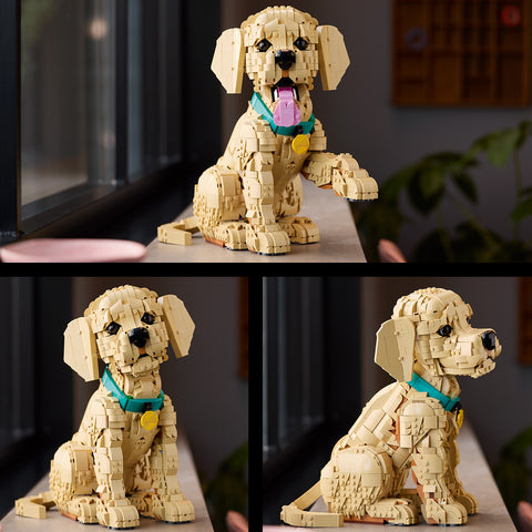 LEGO Golden Retriever Puppy 11384