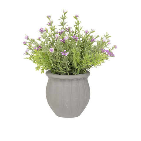 Pink Small Flowers with Scalloped Pot 231-70348