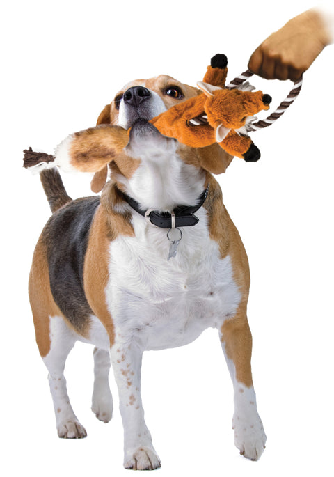 Dog playing with Skinneeez Fox Mini Tug Pet Toy 