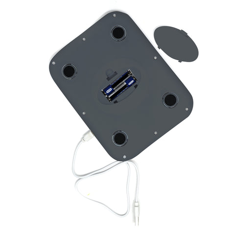 Digital Kitchen Scale with USB Charger 8619 
backside