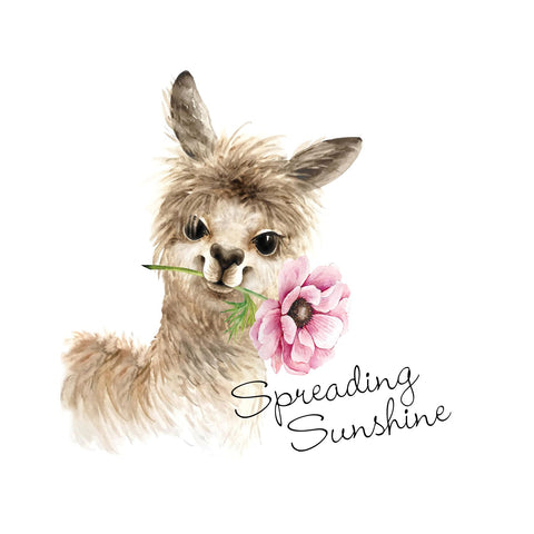 Printed Happy Llama Handkerchiefs Set of 3 CH1519
