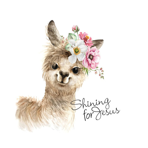 Printed Happy Llama Handkerchiefs Set of 3 CH1519