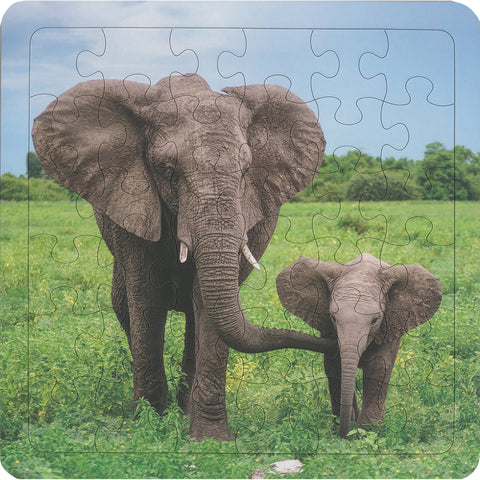 Enormous Elephants 36-Piece Frame Tray Puzzle CH8623