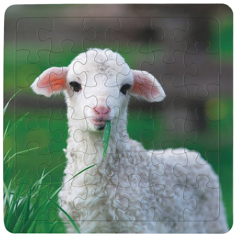 Wee Lamb 36-Piece Frame Tray Puzzle CH8626