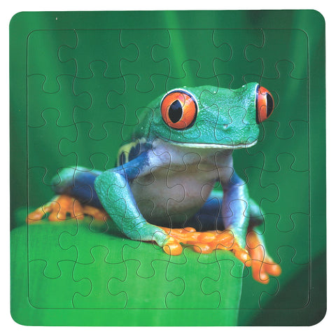Flamboyant Tree Frog 36-Piece Frame Tray Puzzle CH8628