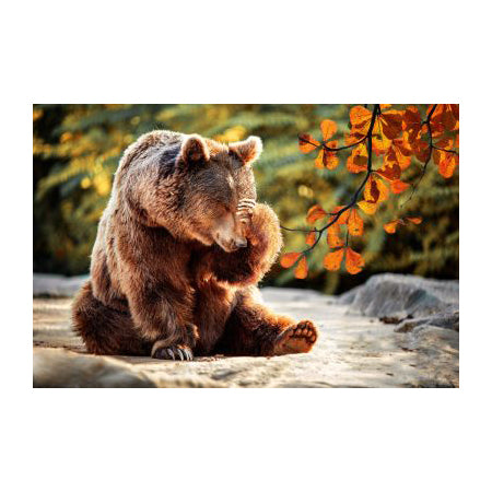 Timid Bear 50-Piece Floor Puzzle CH8639
