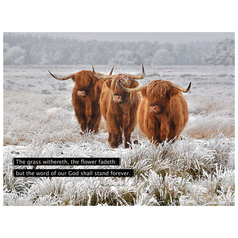 Highland Trio 500-Piece Puzzle CH8669