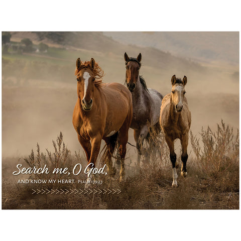 Horse Trio 1000-Piece Puzzle CH8688