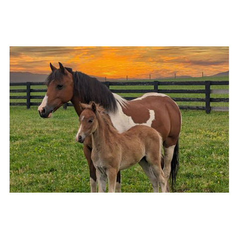 Sunset Mare and Foal 50-Piece Floor Puzzle CH8636