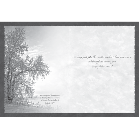 Family Treasures Christmas Waterscapes greeting card with message