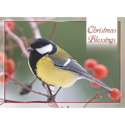 Winter Cheer Christmas Boxed Cards FT22713