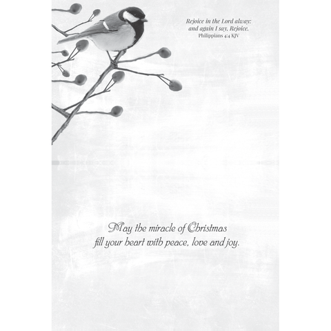 Winter Cheer Christmas Boxed Cards FT22713