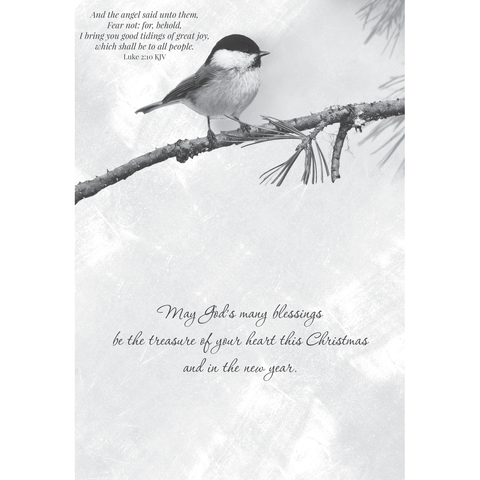 Winter Cheer Christmas Boxed Cards FT22713