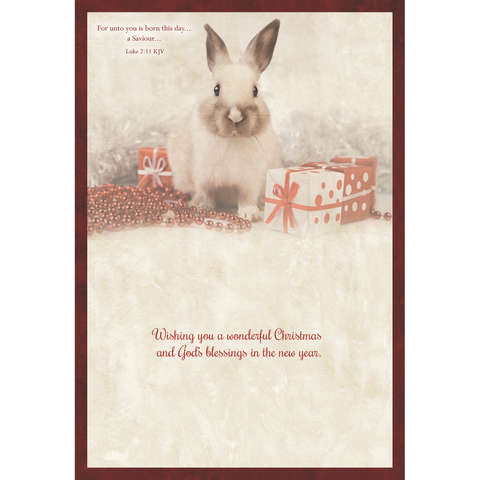 Family Treasures Christmas Pets greeting card showing rabbit with message