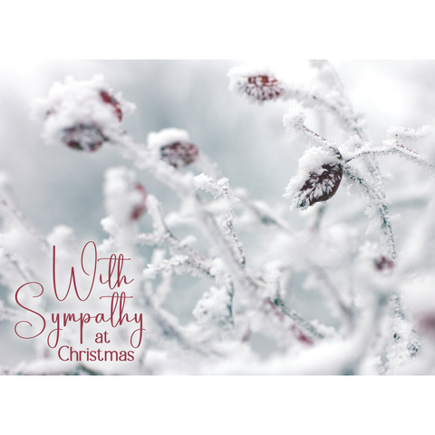 With Sympathy Christmas Boxed Cards FT22717