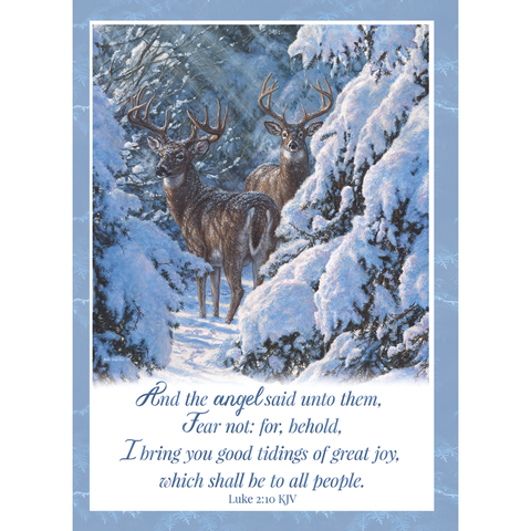 Winter Deer Christmas Boxed Cards FT22718