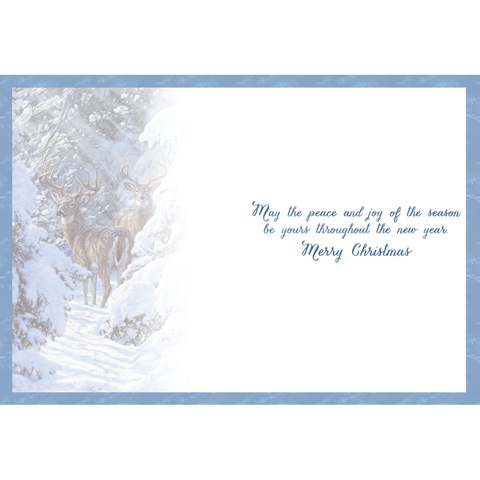Winter Deer Christmas Boxed Cards FT22718