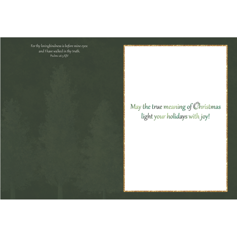 Churches Christmas Boxed Cards FT22794