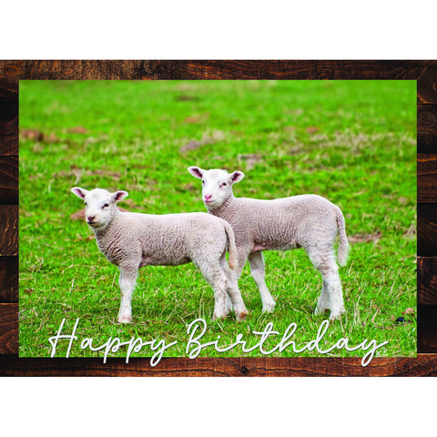 Birthday - Animal Friends Boxed Cards FT22829