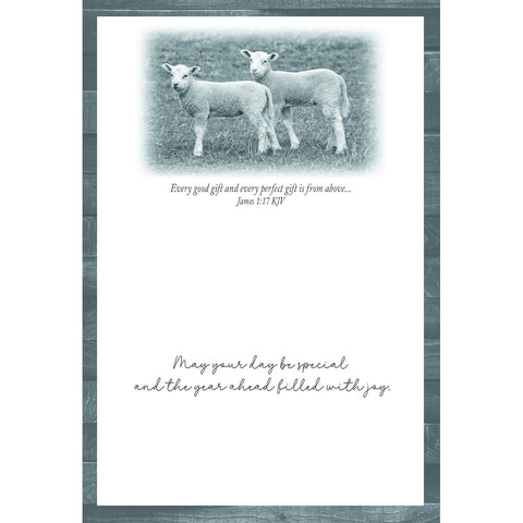 Birthday - Animal Friends Boxed Cards FT22829