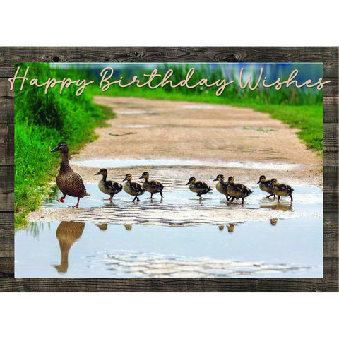 Birthday - Animal Friends Boxed Cards FT22829