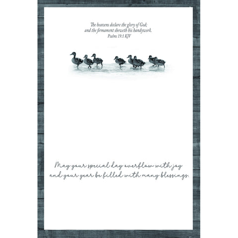 Birthday - Animal Friends Boxed Cards FT22829