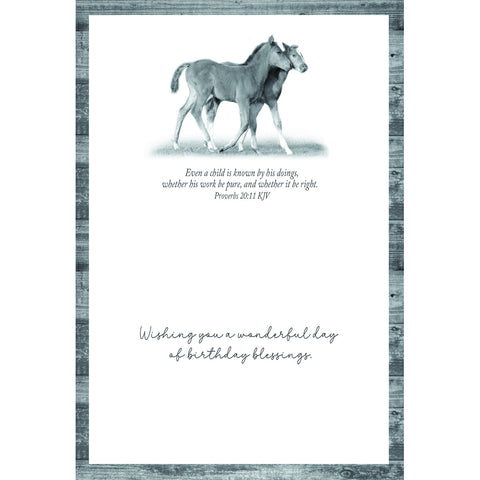 Birthday - Animal Friends Boxed Cards FT22829