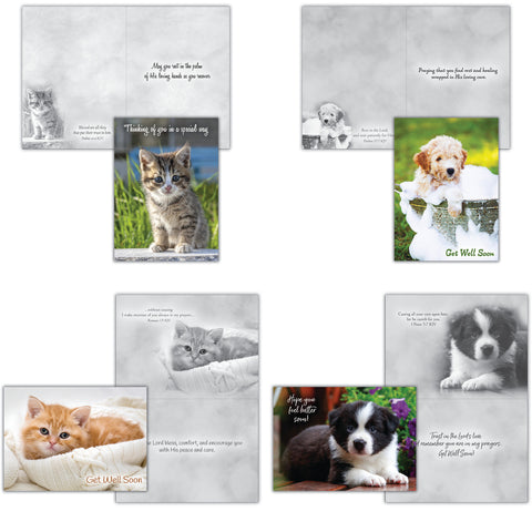 Get Well - Baby Animals Boxed Cards FT22830