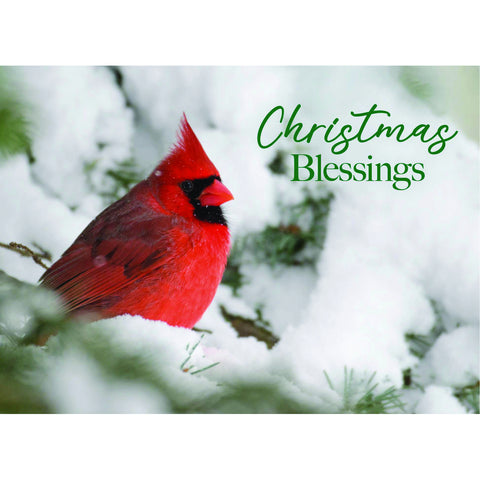 Holiday Blessings Christmas Boxed Cards FT22832
