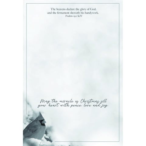 Holiday Blessings Christmas Boxed Cards FT22832
