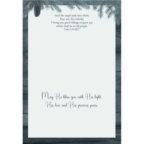 Holiday Blessings Christmas Boxed Cards FT22832