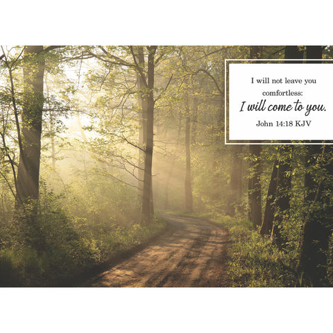 Sympathy Sunrays Boxed Cards FT22761
