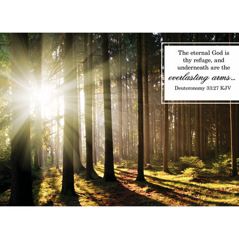 Sympathy Sunrays Boxed Cards FT22761