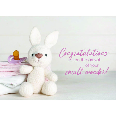 Baby - Small Wonder Boxed Cards FT22834