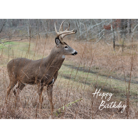 Birthday - Deer Boxed Cards FT22835