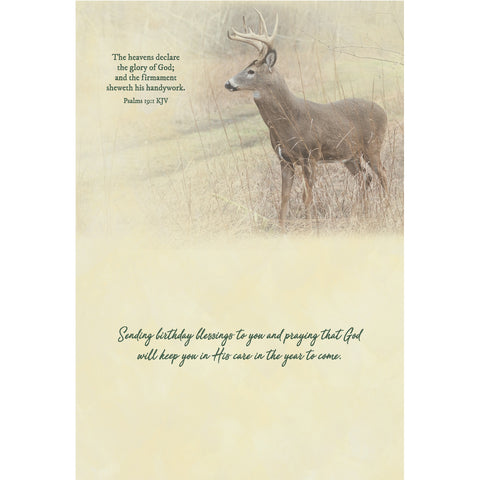 Birthday - Deer Boxed Cards FT22835