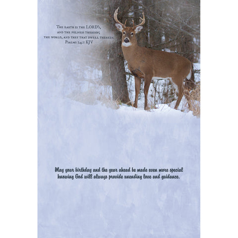 Birthday - Deer Boxed Cards FT22835