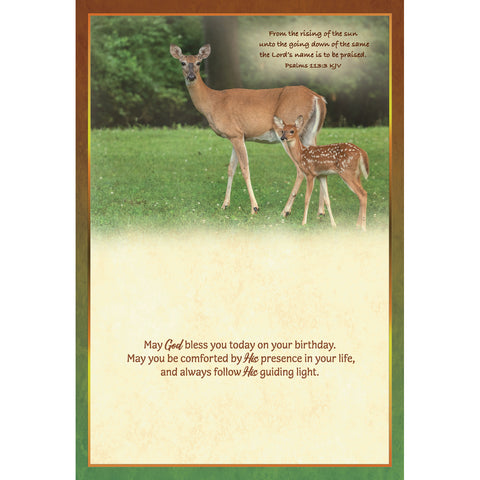 Birthday - Deer Boxed Cards FT22835