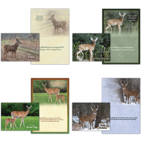 Birthday - Deer Boxed Cards FT22835