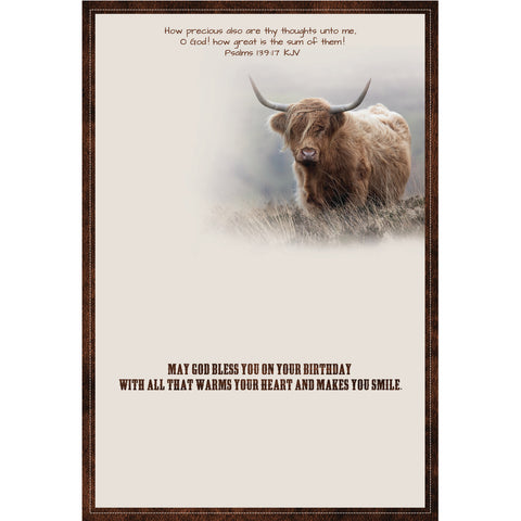 Birthday - Highlander Cows Boxed Cards FT22836