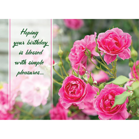 Birthday - Roses Boxed Cards FT22837