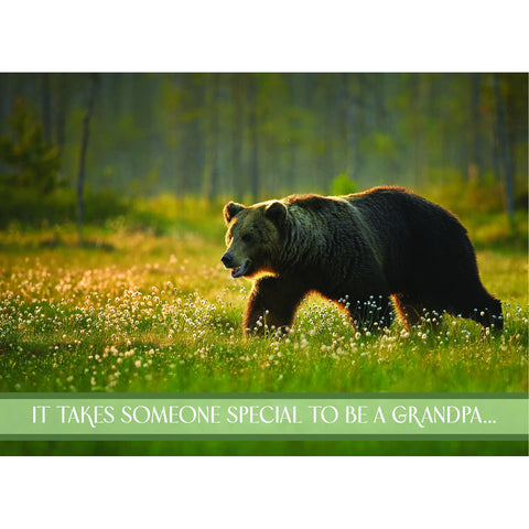 All Occasion - Grandparents Boxed Cards FT22845