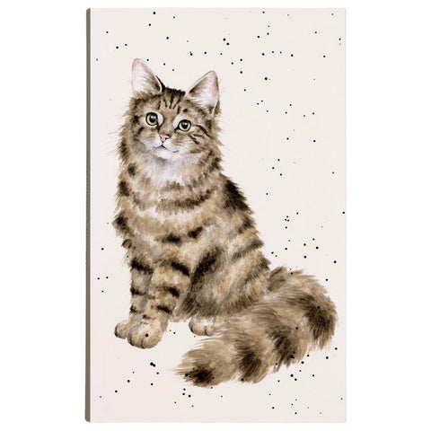 Feline Fabulous Cat Notepad NPD002
