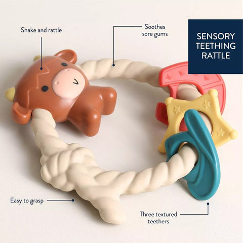 Ritzy Rattle With Teething Rings 1743