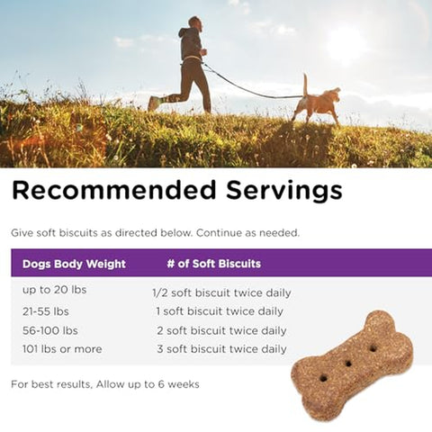 Immune and Digestive Health Biscuits for Dogs - 16 oz