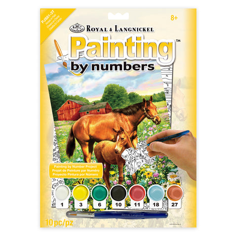 Paint by Nubmber Horses