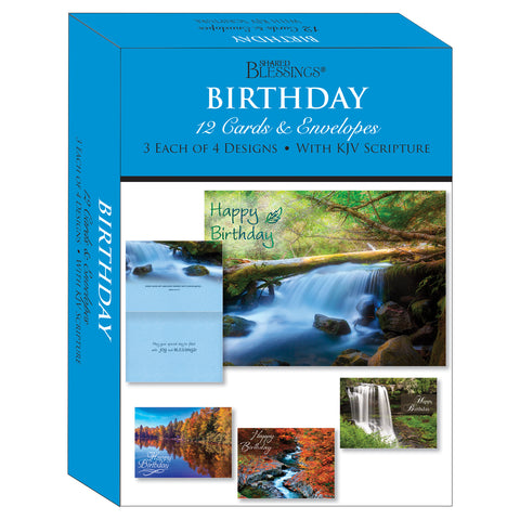 Boxed Cards Birthday Assortment SBEG22292
