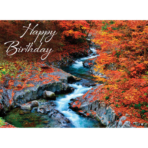 Boxed Cards Birthday Assortment SBEG22292