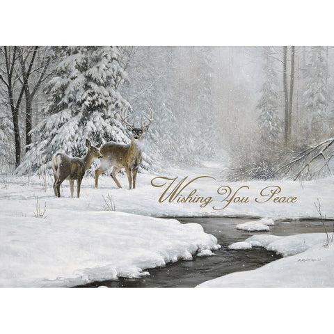 Wishing You Peace Boxed Christmas Cards 52681